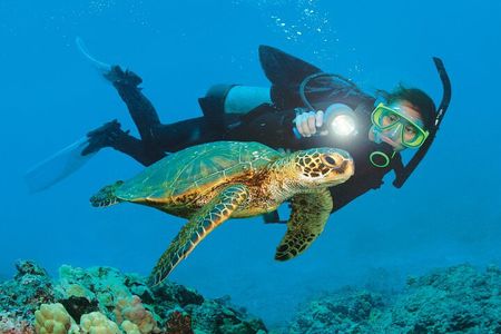 From Side, Alanya: Scuba Diving With 2 Time Dive & Lunch