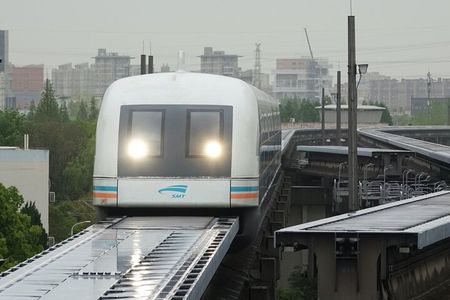 4-Hr Shanghai Layover Tour: Maglev, Wet Market, Food, Landmarks