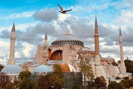 Istanbul Morning Old Town Tour or Afternoon with Bosphorus Cruise