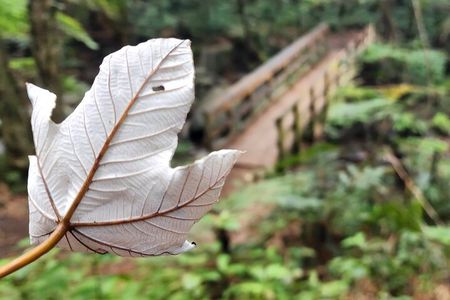 Private Old San Juan & El Yunques's Angelito Trail Tour 5HR 