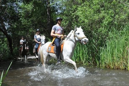 Fethiye Horse Riding Experience