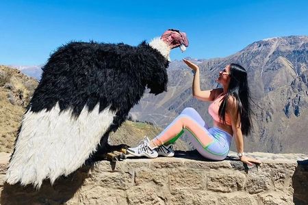 Arequipa : Colca Canyon 2 Days & 1 Night - Advenure