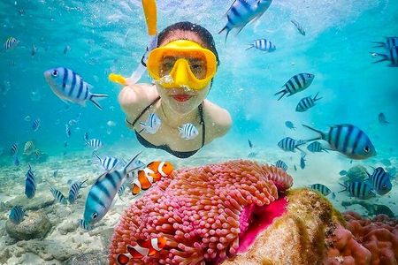Bali Blue Lagoon Snorkeling Tour with Lunch, Private Transfer
