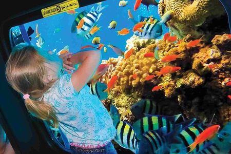 Sea Scope Submarine & Snorkeling Adventure in Hurghada