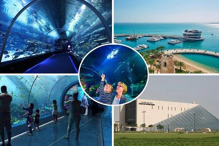 Private Hamad Port Tour in Mesaieed |Aquarium |Maritime Museum