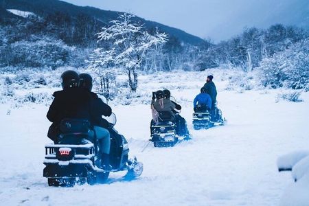Day or Night White Experience with Snowmobile and Lunch
