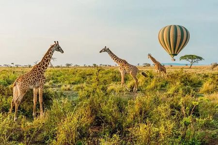 6 Days Tanzania Bush Experience Safari