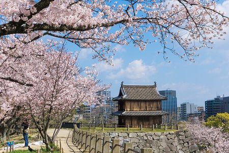 Fukuoka Private Customizable Half Day Tour