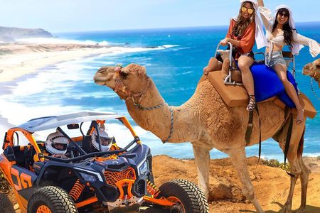 Camel Ride and UTV Combo Adventure, with Tequila Tasting