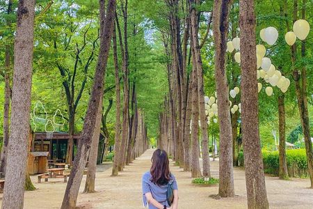 Nami Island Day Tour From Seoul (Sleep In & Leisurely)