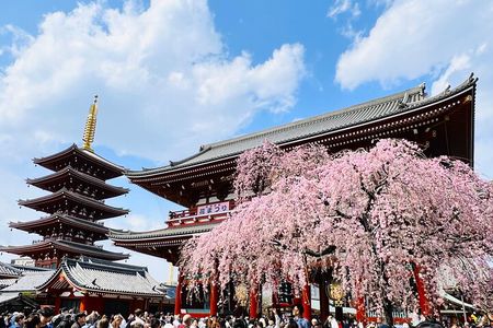 Private Walking Tour to explore Tokyo based on your interests