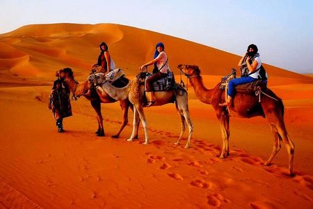 4 Days Desert Tour From Marrakech to Fes via Merzouga Dunes 