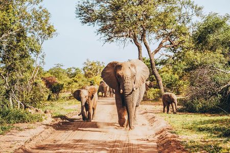 4 Days Radisson Safari Hotel and Kruger National Park, Limpopo 