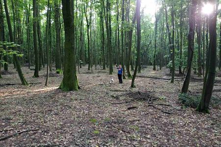 Private Truffle‑Hunting Tour from Belgrade – Lunch with Wine