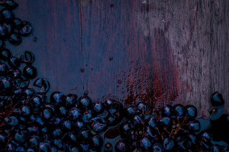Willamette Wine Tour from Newberg (Tasting Fees Included)