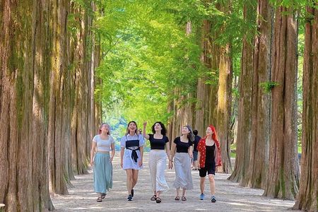 Nami Island, Alpaca World, Garden of Morning Calm tour from Seoul
