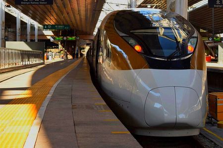 Beijing: to Xi'an Terracotta Day Tour by Roundtrip Bullet Train