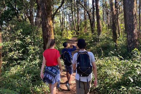 Chiangmai Summit Hike in Doi Suthep-Pui National Park