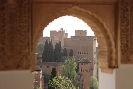 Alhambra Private Tour with tickets