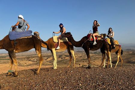 Agafay Desert Tour show,dinner with Camel Ride or Quad biking