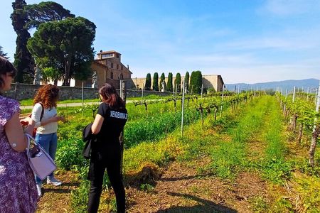 Lake Iseo & Franciacorta Winery. Scenic & Wine Tasting tour