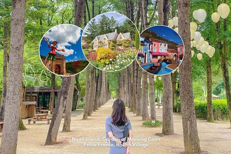 Nami Island& Petite France& Garden of Morning Calm& Italian Village One-Day Tour