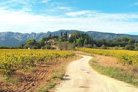 Wine Tour Like a Local in Scenic Provence with Picnic & Pétanque