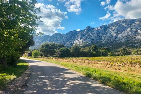 Aix-en-Provence Half Day Wine Tour with Picnic & Pétanque