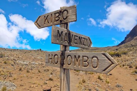 8 Days Mountain Kilimanjaro Lemosho Route