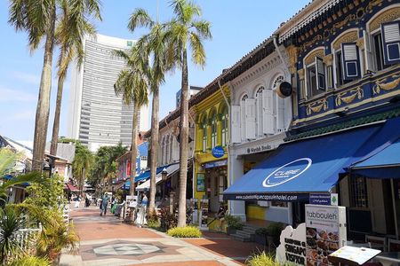 Private Cultural Discovery Tour of Historic Singapore