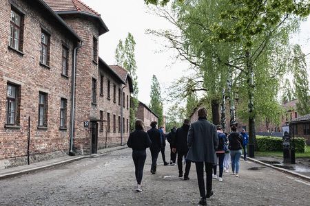 Auschwitz-Birkenau: Day Trip & Transfer from Kraków