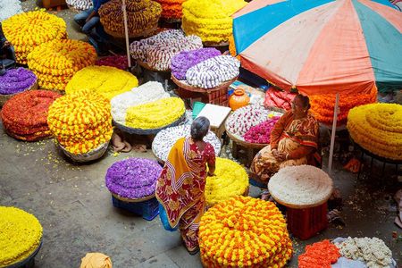 Bangalore Walking Tours - Flower Market, PETE and more