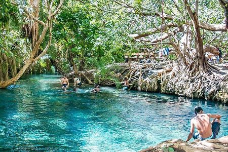 Materuni Waterfall, Coffee Farm Tour, and Kikuletwa Hot Spring
