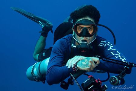 Roatan's Diving Best! 10 Dive Package for Certified Divers