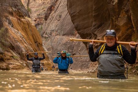 Zion Full Day Private Tour & Hike