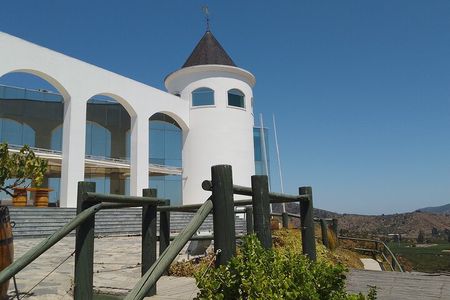 Wineries Tour in Casablanca Valley from Valparaiso