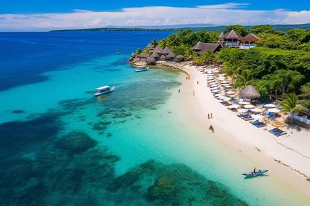 Cebu Whaleshark Watching w/ Sumilon Island Hopping