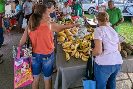 Saturday Markets & Brunch Tour