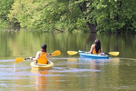 Ottawa Ecological Reserve Kayak Tour with TURTLE Sightings