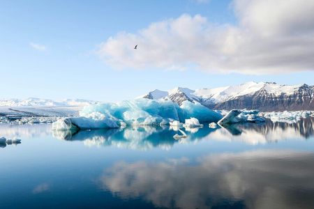 Shared Group Glacier Lagoon Tour from Djupivogur