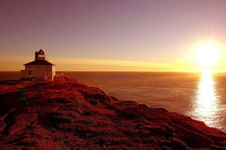 Historic St. John's Newfoundland and Cape Spear Tour