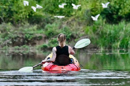 Mangrove Kayak 