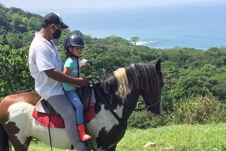 Horseback Riding Beach & Jungle