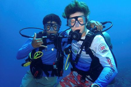 Roatan Full Diving Day Adventure -3 Dives for Certified Divers