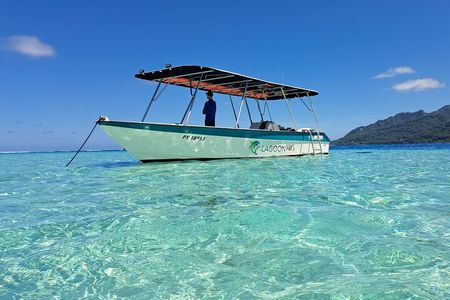Private Marine Excursion and snorkeling in the lagoon of Moorea