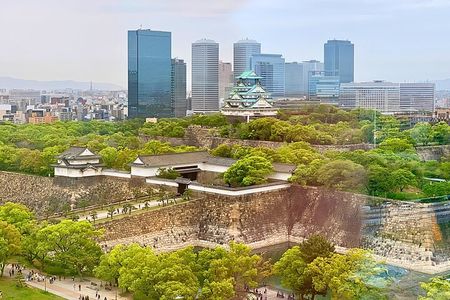 Osaka Highlights: 4Hrs Guided Walking Tour with a Native Expert