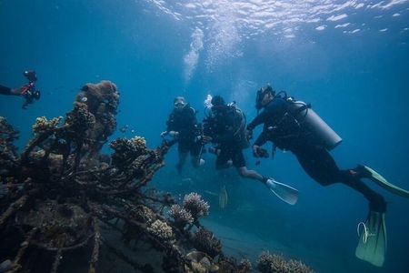 Try Dive Program in the Biorock Pemuteran