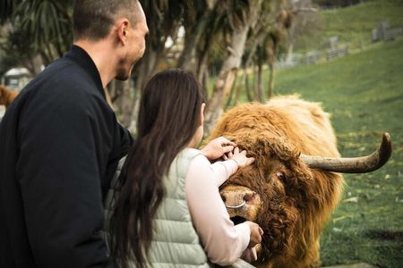 Queenstown Lake Cruise and Walter Peak Farm Adventure