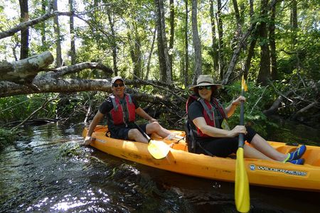 Small Group Blackwater Creek River Kayak Tour