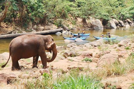 8KM Inflatable Kayaking Adventure